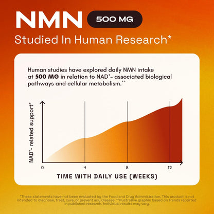4-in-1 NMN Advanced Complex – NAD+ Booster with Resveratrol, Quercetin & TMG-XDX-FB