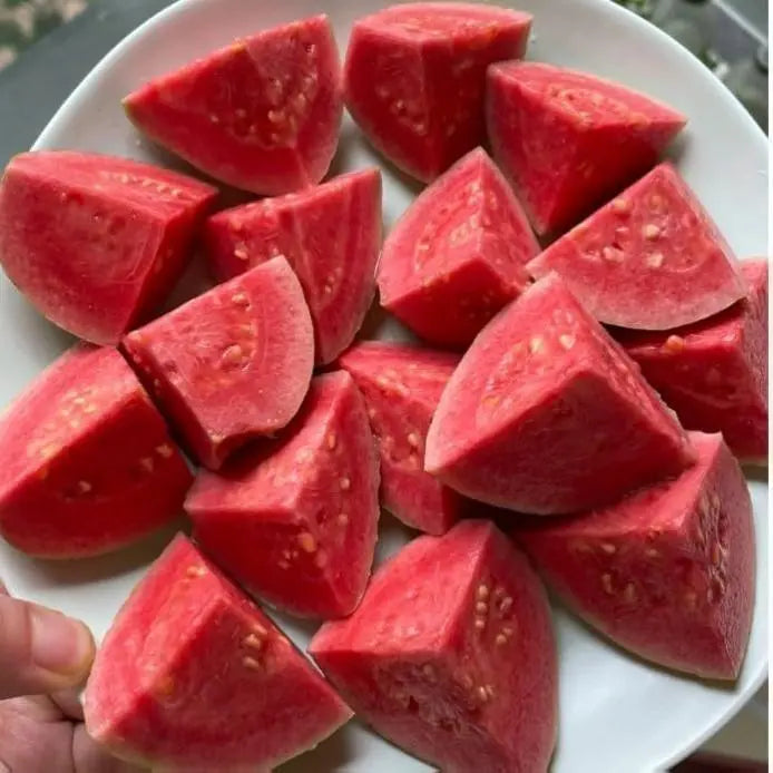 Guava Seeds, suitable for potted plants, greenhouses and outdoor gardens, easy-to-cultivate fruit tree seeds